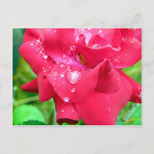 Gotas em cartão postal