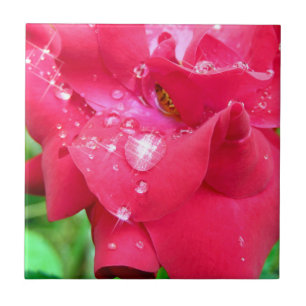 Gotas no Azulejo de Fotos Cerâmicas de Petais