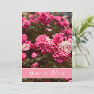Graça em Flor - Jardim de Rosas Rosa Cartão Postal