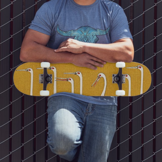 Grace on Wheels: Arte Crane Skateboard (Ao ar livre 3)