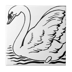 Graceful Swan