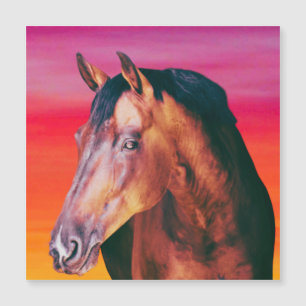 Gradiente de Cavalo de Baía