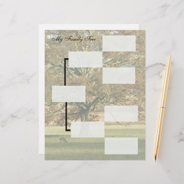 Gráfico de Ancestrais da Árvore da Minha Família (Criador carregado)