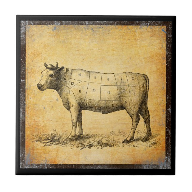 gráfico de carne de bovino com cortes numerados (Frente)