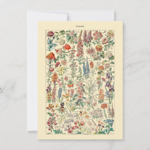 Gráfico de Jardinagem de Flores Botânicas