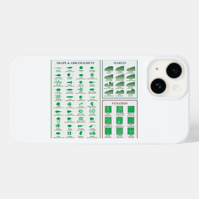 Gráfico de Morfologia Foliar Forma da Margem Venaç (Verso (horizontal))
