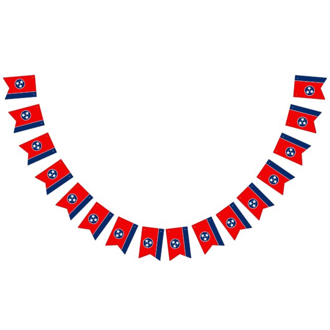 Gráfico dinâmico da bandeira do estado de (Todos)