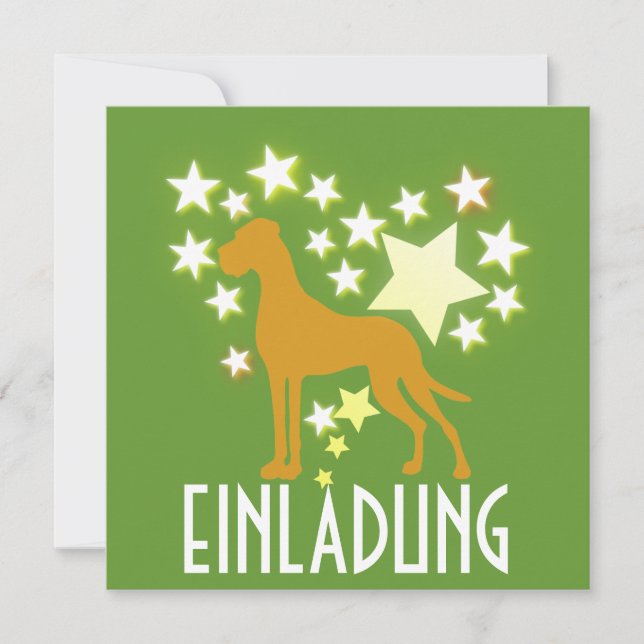 Gráficos Dane excelentes (Frente)