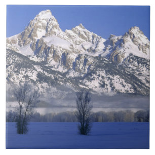GRAND TETON NATIONAL PARK, WYOMING. EUA. Nevoeiro 
