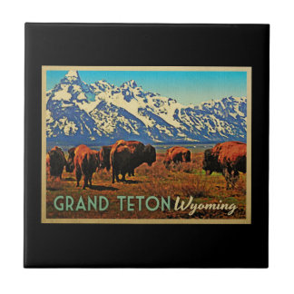 Grand Teton Wyoming Buffalo
