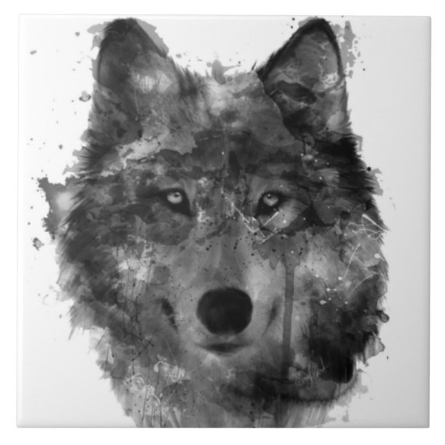 Grande (6" X 6") azulejo cerâmico da foto (Frente)