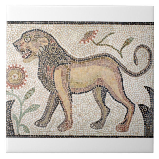 Grande (6" x 6") azulejo cerâmico da foto/mosaicos (Frente)