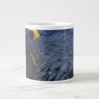 Grande arara azul na grande caneca de café