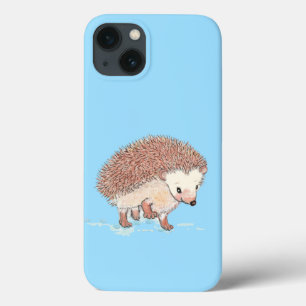 Grande Aventura de Hedgehog
