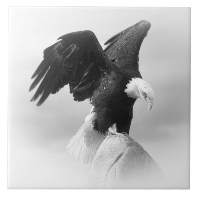 Grande Azulejo de Fotografia Cerâmica (6" X 6") (Frente)