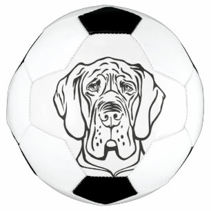 Grande Bola De Futebol Dane
