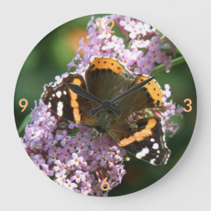Grande Borboleta-Almirante Vermelha e Relógio de Buddleia