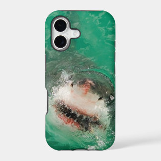 Grande branco Shark1