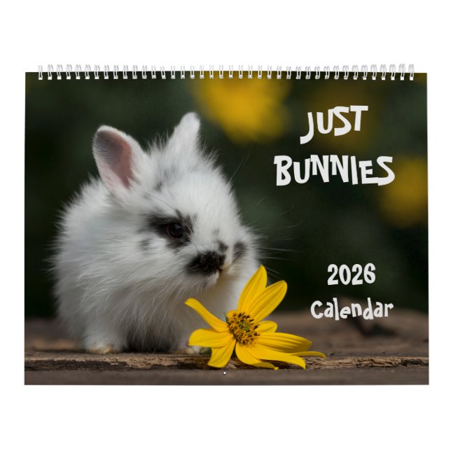 Grande Calendário de Parede de Coelhinhos (Capa)