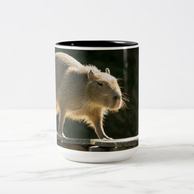 Grande caneca do Capybara (Centro)