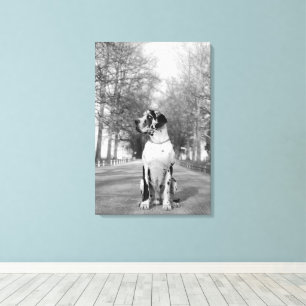 Grande Canvas de Dane