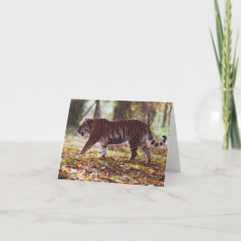 Grande Cartão de Aniversário de Tigre