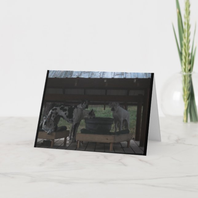 Grande Cartão de Dia das Bruxas (Frente)