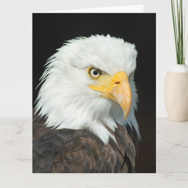 Grande Cartão de Saudação - Nature Bird Eagle (Frente)
