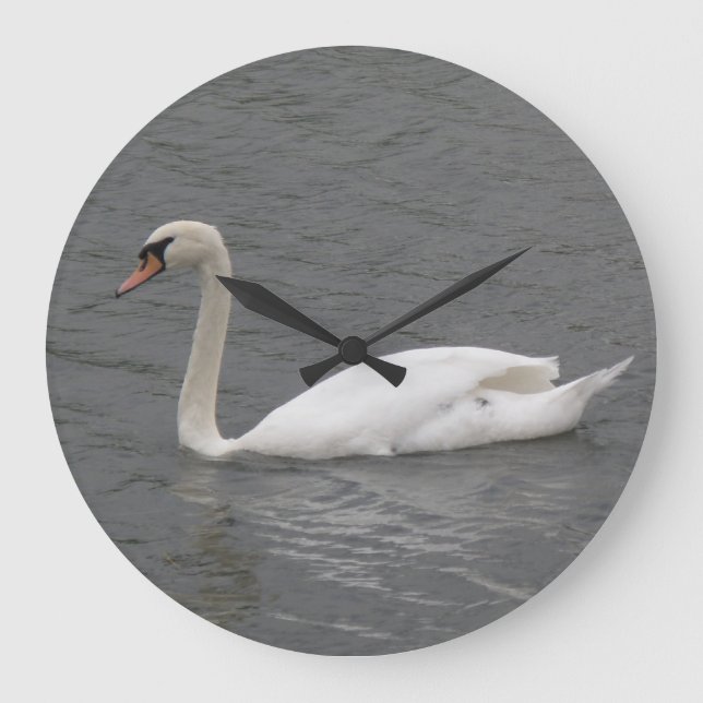 Grande Cisne no rio Relógio (Frente)