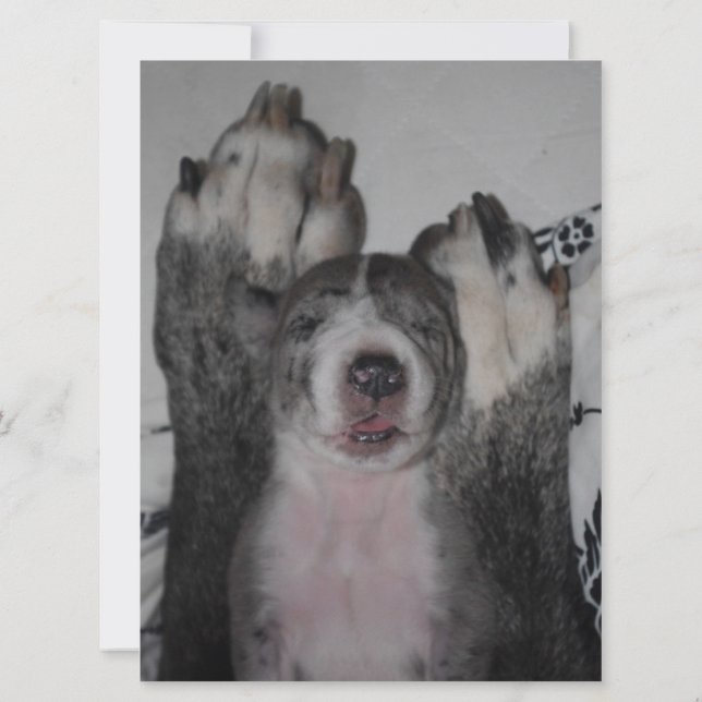 Grande Convite de Aniversário de Dane (Verso)