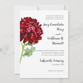 Grande Convite Vermelho Chrysanthemum