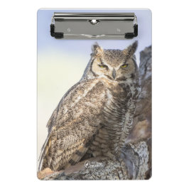 Grande coruja Horned - olhando o mini prancheta