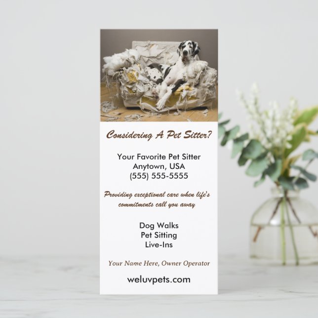 Grande Dane reaxada na dormente mastigada de pet d (Em pé/Frente)