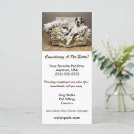 Grande Dane reaxada na dormente mastigada de pet d