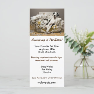 Grande Dane reaxada na dormente mastigada de pet d