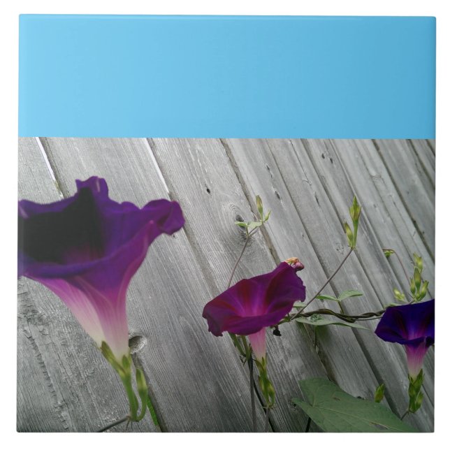 Grande, decorativo (Frente)