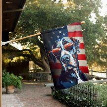 Grande Dia 4 de julho Dia da Independência