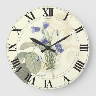 Grande Face de relógio da Campanula Azul Botânica