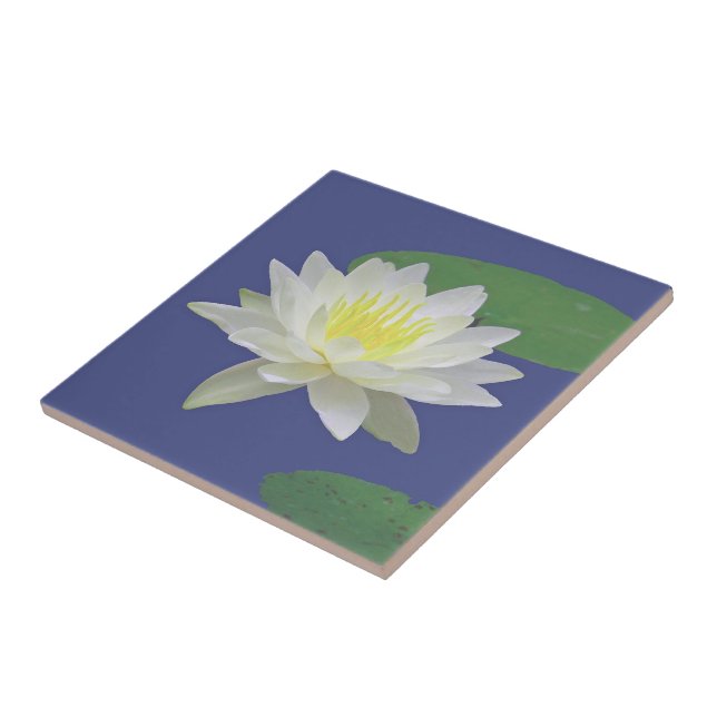 "GRANDE FLOR " TILE/TRIVET CERÂMICO DE LOTUS (Lateral)