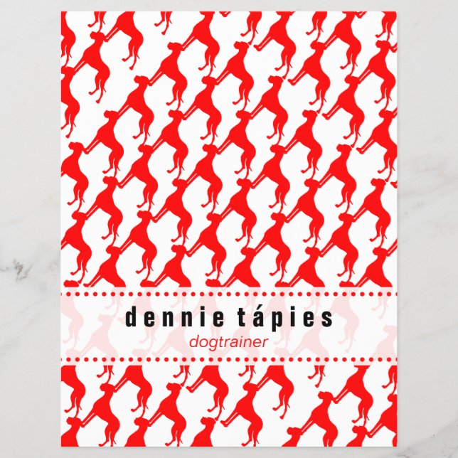 Grande Flyer Dinamarquês (Frente)