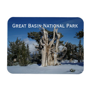Grande ímã do parque nacional da bacia