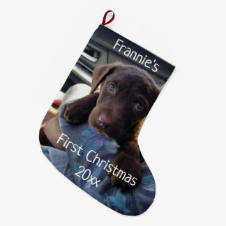 Grande Meia de Natal do Primeiro Natal do Cachorrinho Per