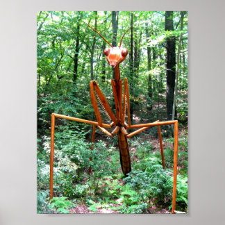 Grande Oração Mantis Poster