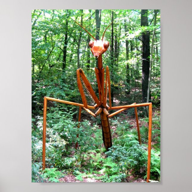 Grande Oração Mantis Poster (Frente)