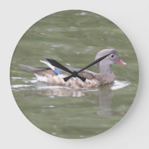 Grande Pato no Relógio da Parede do Lago