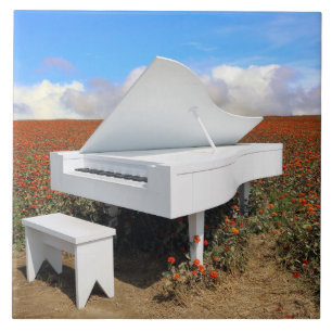 Grande piano no campo da zínnia