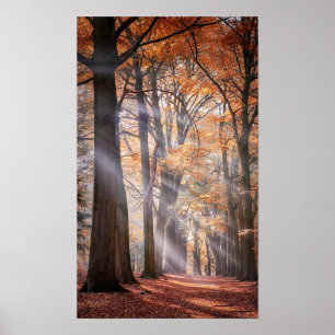 Grande poster da natureza