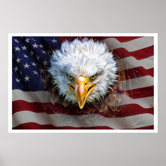 Grande Poster do USA Eagle FLAG (Frente)