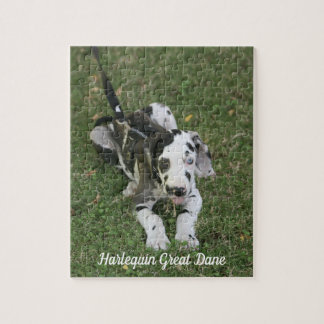 Grande Quebra-cabeça de Dane Puppy