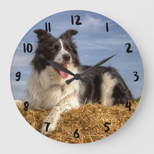 Grande Relógio com Border Collie Bonito em Fardo de Palha (Frente)